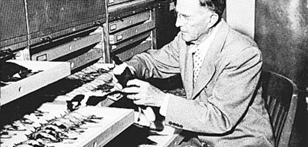 Robert Moore examines a bird specimen in his lab