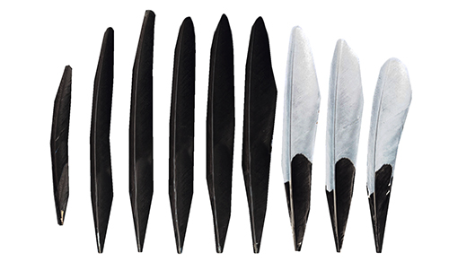 Row of 9 3-D printed feathers