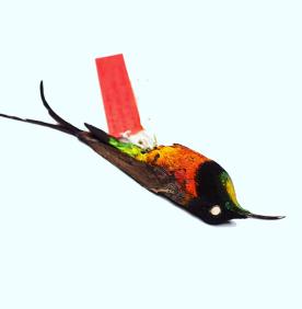 Fiery Topaz Hummingbird
