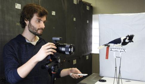 Researcher Josh Medina takes a photo of a bird specimen to create a 3D model