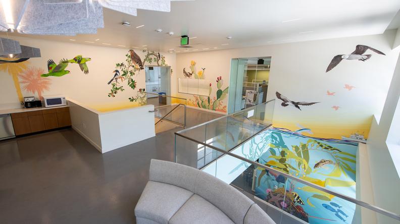 A photo of a building interior showing walls painted with a colorful mural of birds, plants, and fish