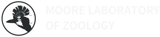 Moore Lab Header Section Logo